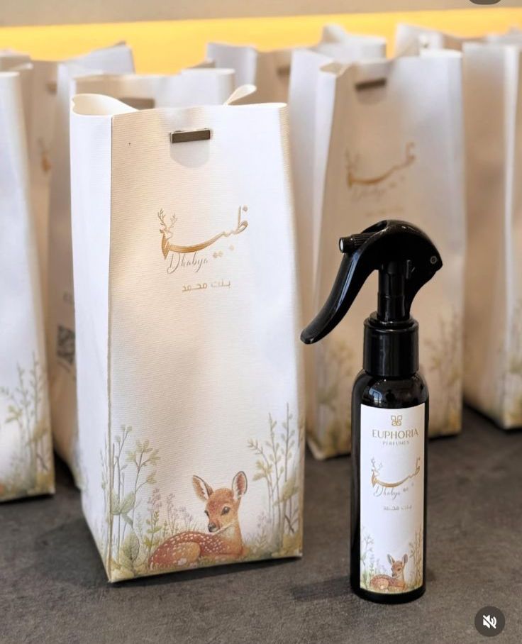 LEATHER BAG HOME SPRAY 100 ML